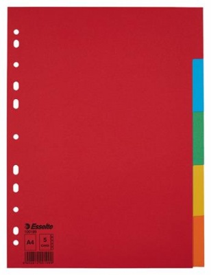 Register, kartónový, A4, 5 dielny, ESSELTE "Economy", farebný