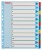 Register, laminovaný kartón, A4 Maxi, 1-12, prepisovateľný, ESSELTE